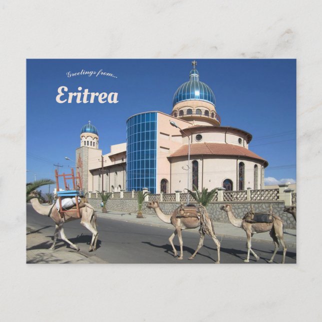 Camel Train in Keren Eritrea Postcard (Front)
