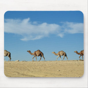Camel train mouse mat