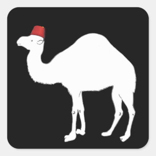Camel Wearing A Fez Square Sticker