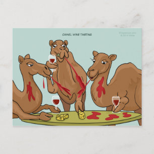 Camel Wine Tasting Postcard