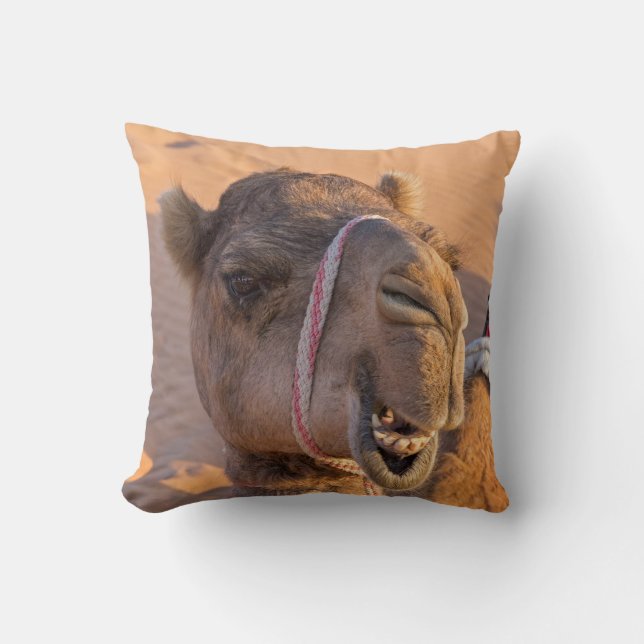Camel with a funny facial expression - Oman Cushion (Front)