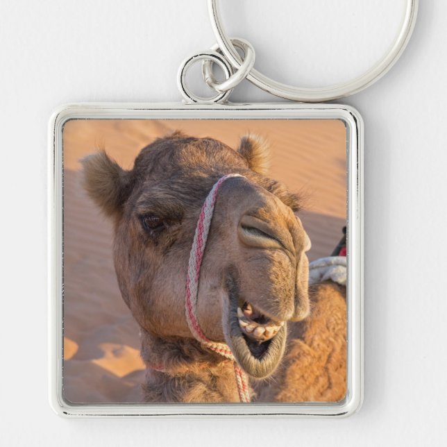 Camel with a funny facial expression - Oman Key Ring (Front)
