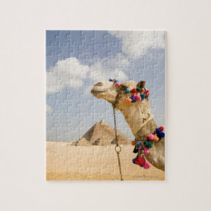 Camel with Pyramids Giza, Egypt Jigsaw Puzzle