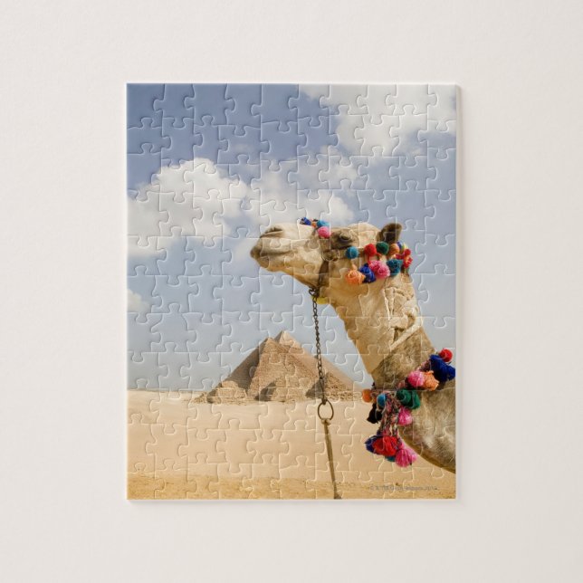 Camel with Pyramids Giza, Egypt Jigsaw Puzzle (Vertical)