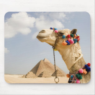Camel with Pyramids Giza, Egypt Mouse Mat
