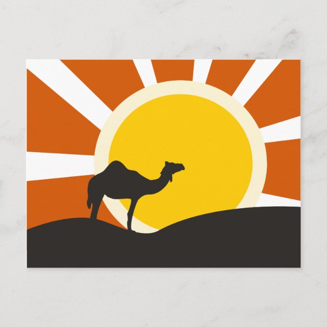 Camel With Sunset Postcard (Front)