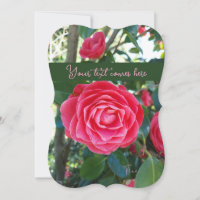 camelia