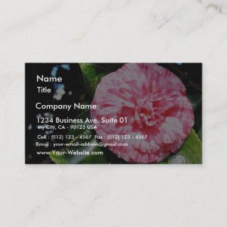 Camellia Business Card