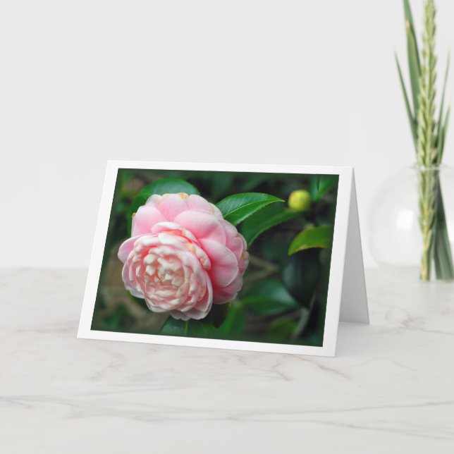 "Camellia" Card (Front)