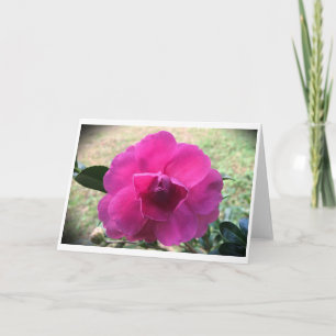 Camellia, card