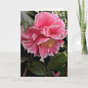 Camellia Card