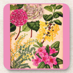 camellia, forsythia, rhododendron and acacia coaster