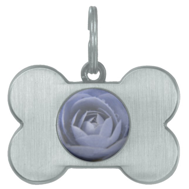 Camellia Frozen Beauty Pet Tag (Front)