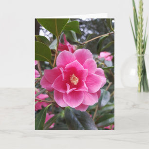 Camellia in the Park Card