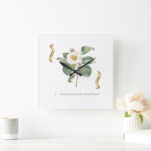 Camellia japonica 'Alba Plena' is a cultivar known Square Wall Clock