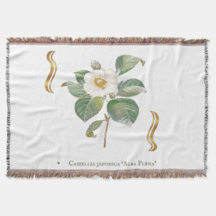 Camellia japonica 'Alba Plena' is a cultivar known Throw Blanket