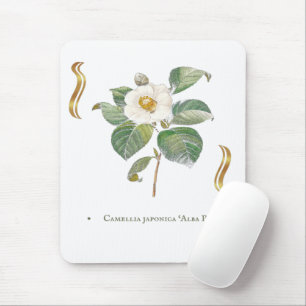 Camellia japonica 'Alba Plena' is a cultivar of th Mouse Mat
