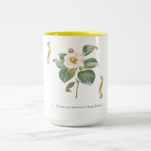 Camellia japonica 'Alba Plena' is a cultivar of th Two-Tone Coffee Mug