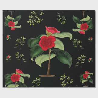 Camellia Japonica at midnight wrapping paper