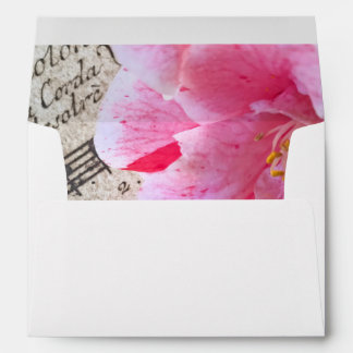 Camellia on vintage sheet music envelope