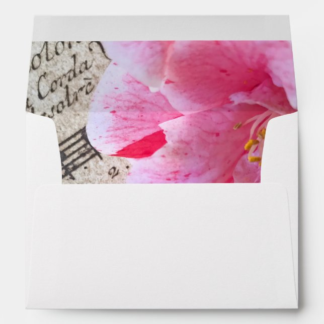 Camellia on vintage sheet music envelope (Back (Bottom))