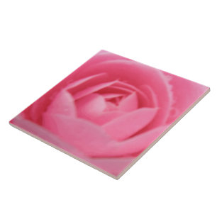 Camellia Pink Tile