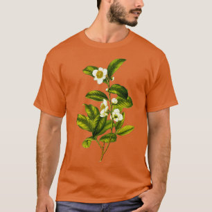 Camellia Sinensis Botanical Tea Plant Illustration T-Shirt