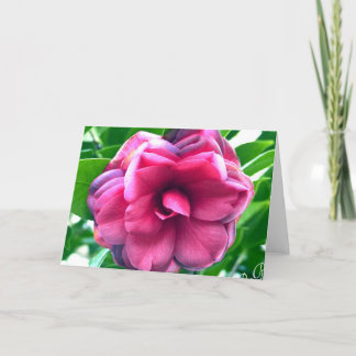 Camellia Stationary Correspondence Card