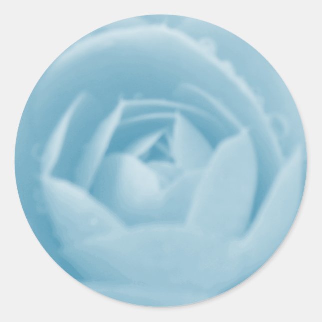 Camellia Whirlpool Sticker (Front)