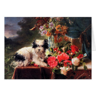 Camellias and a Terrier