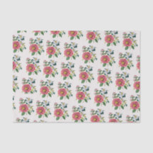 Camellias