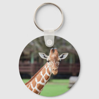 Camelopard (giraffe) key ring