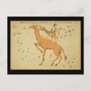 Camelopardalis, Tarandus and Custos Messium Postcard