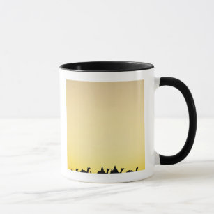 Camels and camel driver silhouetted at sunset, 4 mug