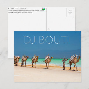 Camels at Lake Assal, Djibouti Travel Postcard