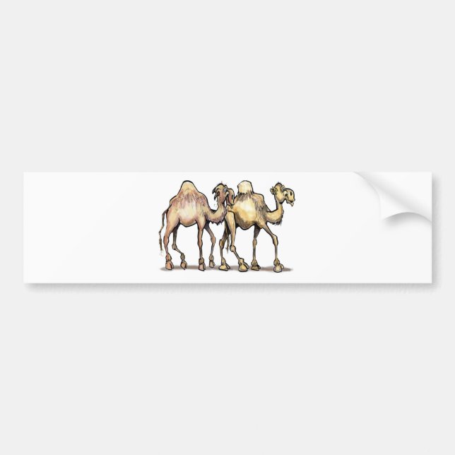 Camels Bumper Sticker (Front)