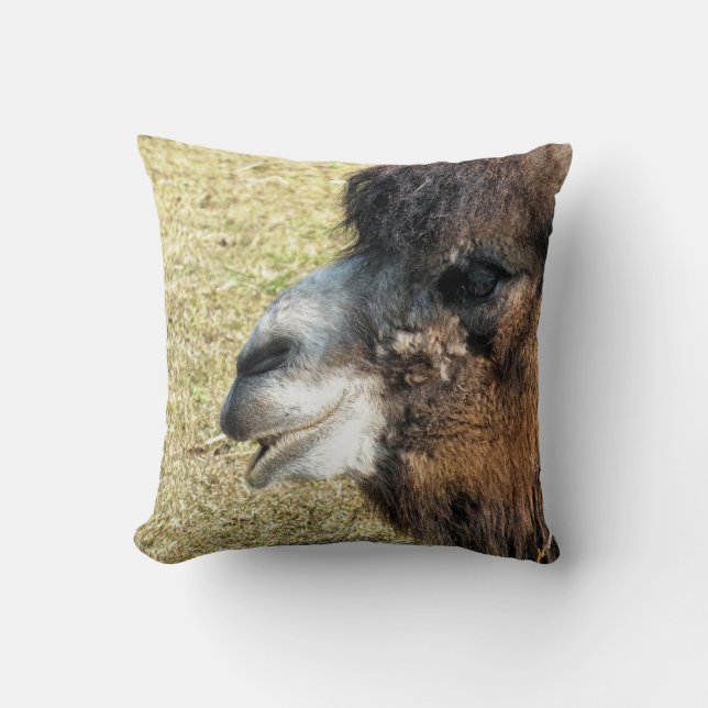 CAMELS CUSHION (Front)