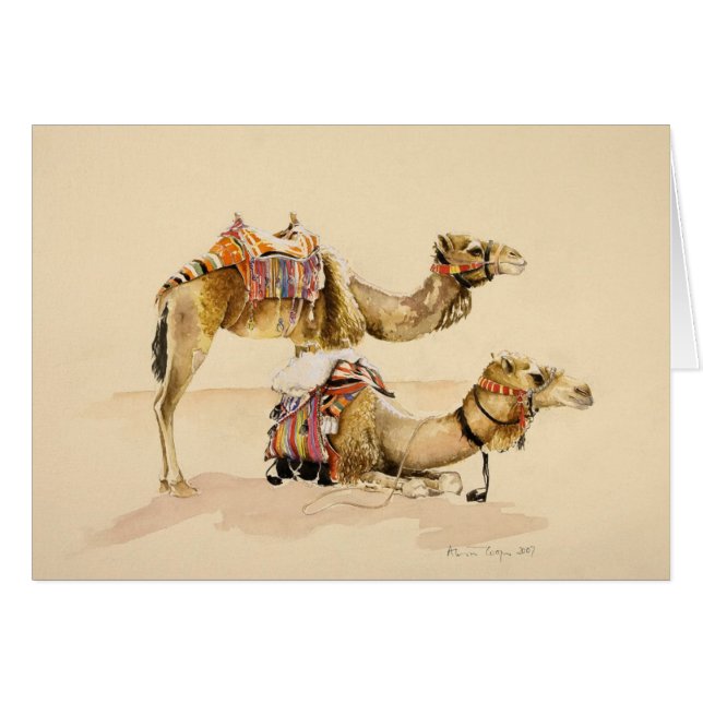 Camels from Petra 2007 (Front Horizontal)