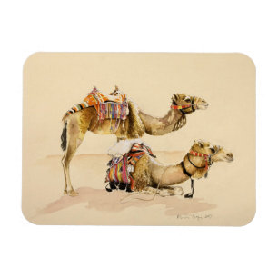 Camels from Petra 2007 Magnet
