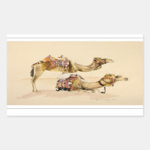 Camels from Petra 2007 Rectangular Sticker