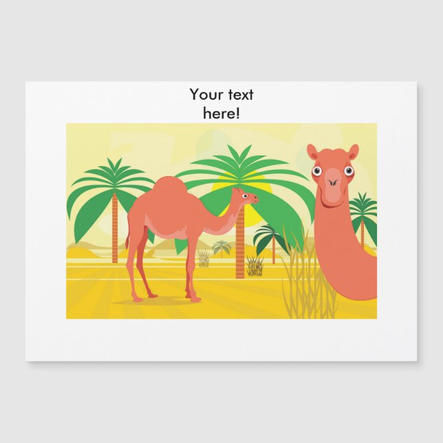 Camels illustration (Front)