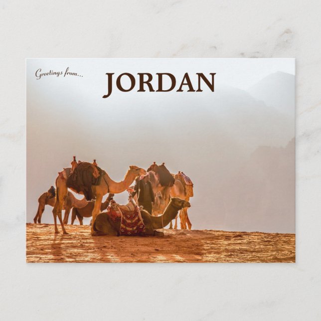 Camels in the Desert in Jordan Postcard (Front)