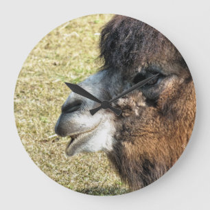 CAMELS LARGE CLOCK