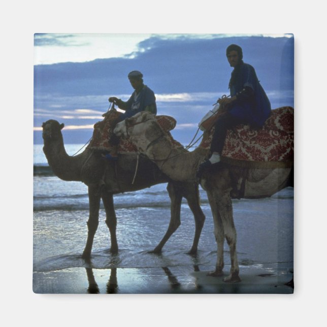 Camels, Morocco Magnet (Front)