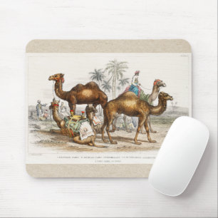 Camels of India Vintage Illustration, 1820 Mouse Mat