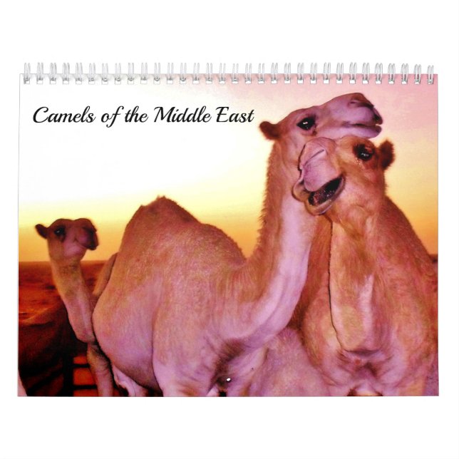 Camels of the Middle East Calendar (Cover)