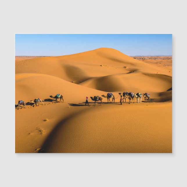 camels on desert under blue sky (Front)