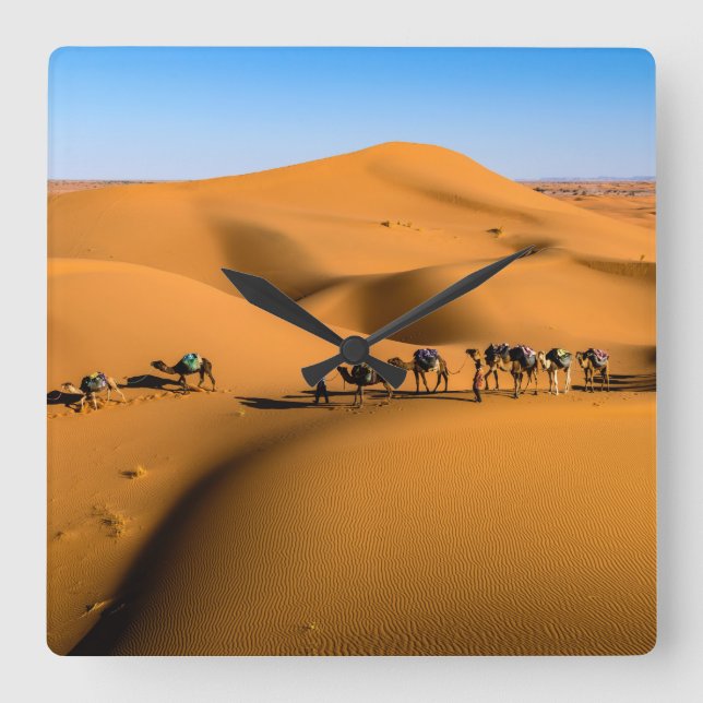 camels on desert under blue sky square wall clock (Front)