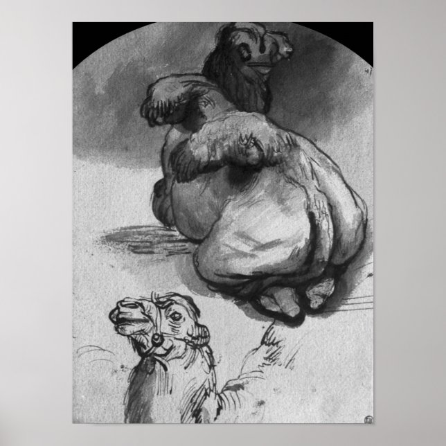 Camels Poster (Front)