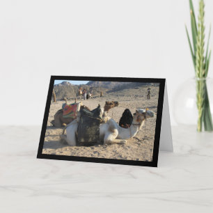 Camels Resting in Desert Card